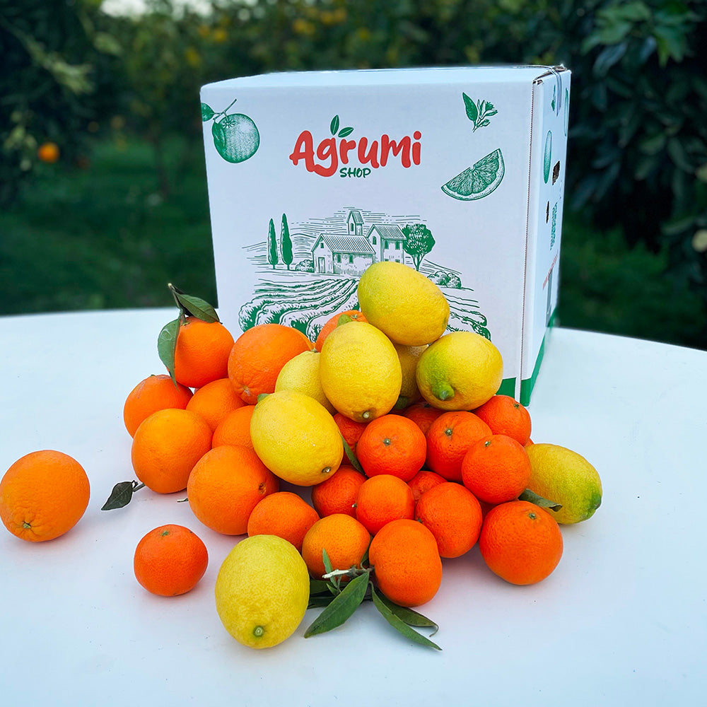 Citrus fruit box: oranges, clementines, and lemons