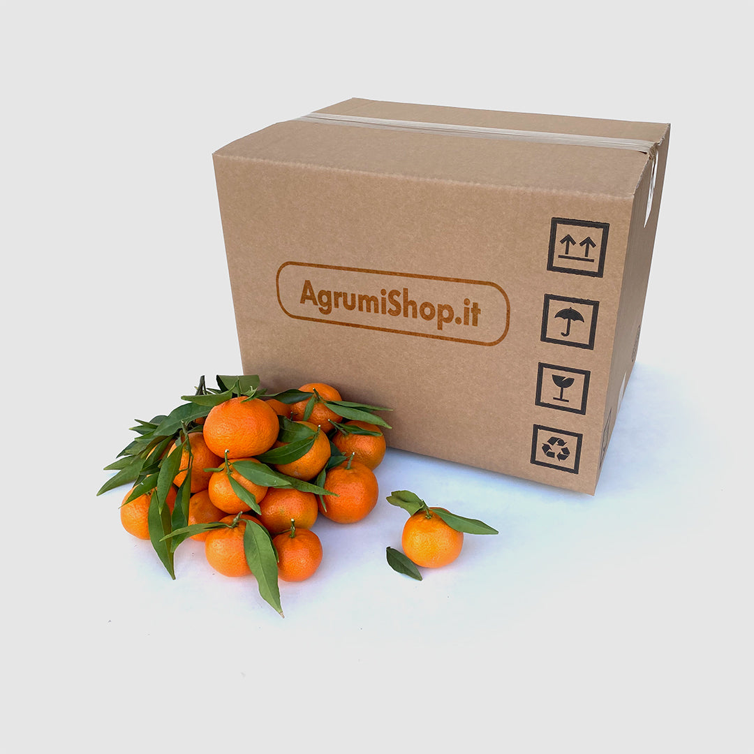 Clementine di Calabria