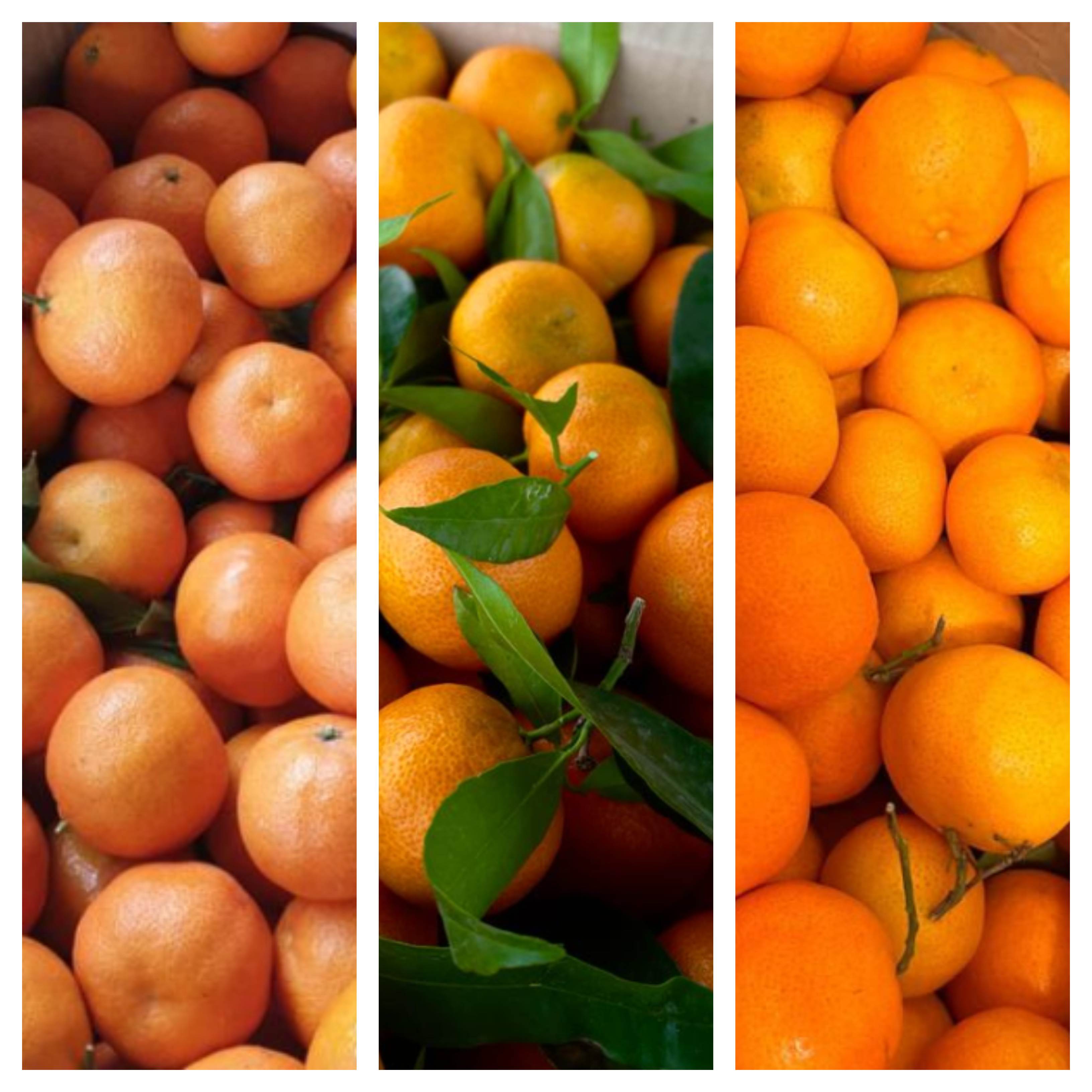 Clementine