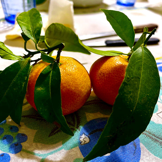 Clementine con rametto e foglie