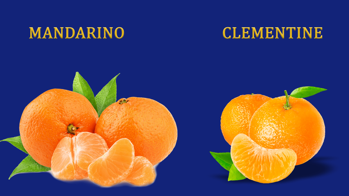 Clementine e mandarini a confronto