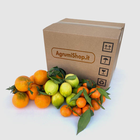 Box agrumi arance, clementine e limoni - 15Kg