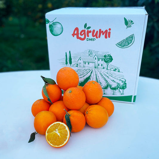 Navel Oranges from Calabria