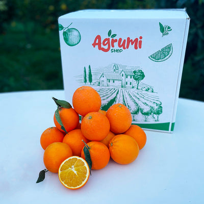 Arance Navel di Calabria con la cassetta AgrumiShop