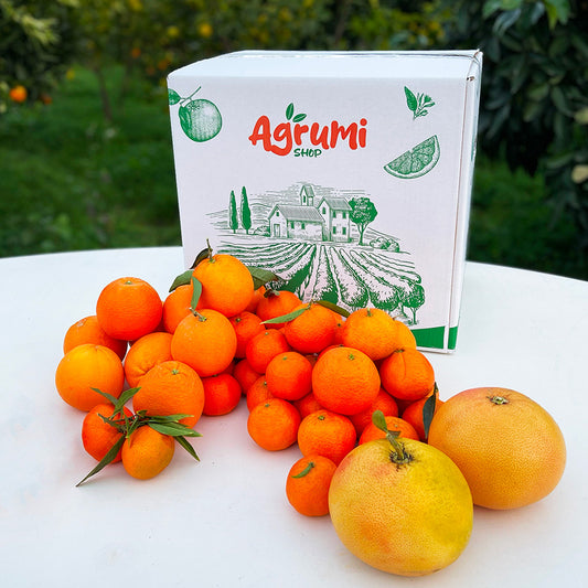 Box agrumi Arance Navel, Clementine e Pompelmi Rosa
