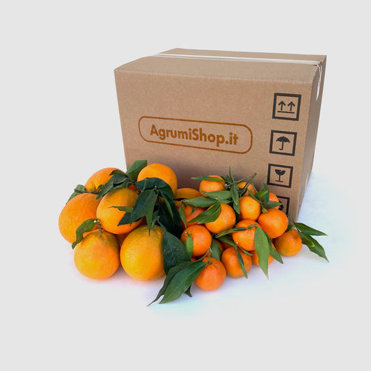 Box Arance e Clementine