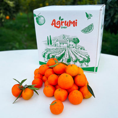Cassetta AgrumiShop con clementine senza semi calabresi