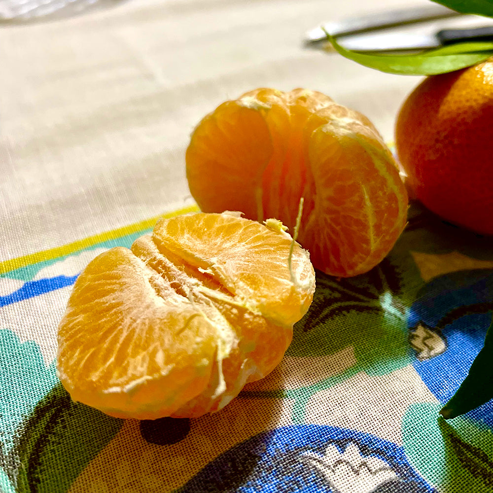 Clementine senza semi