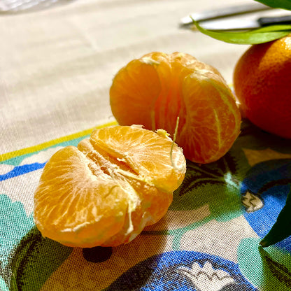 Clementine senza semi