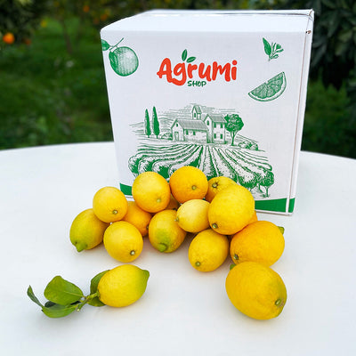 Zitronen aus Kalabrien mit der AgrumiShop-Kiste