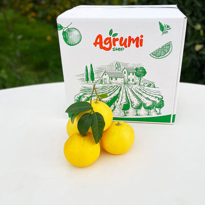 Gelbe Grapefruits aus Kalabrien mit der AgrumiShop-Kiste
